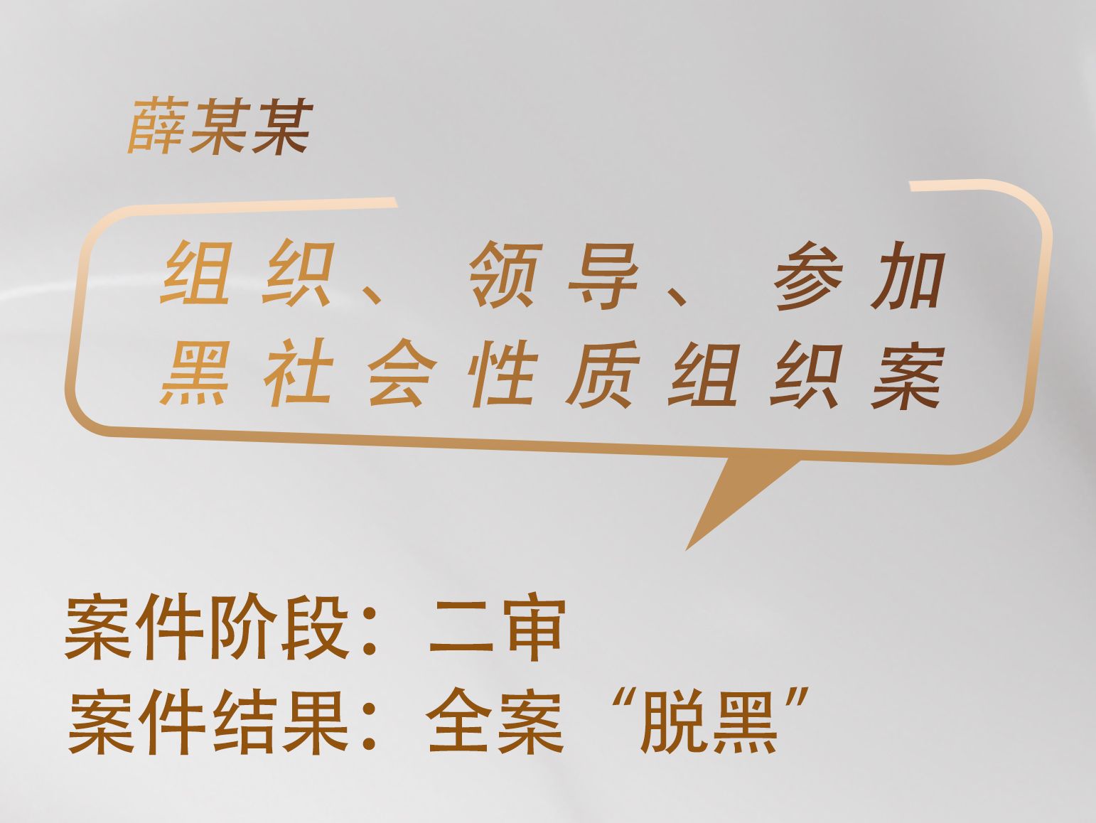 高文龙、张兴梅律师承办：薛某某组织、领导、参加黑社会性质组织案获全案“脱黑”