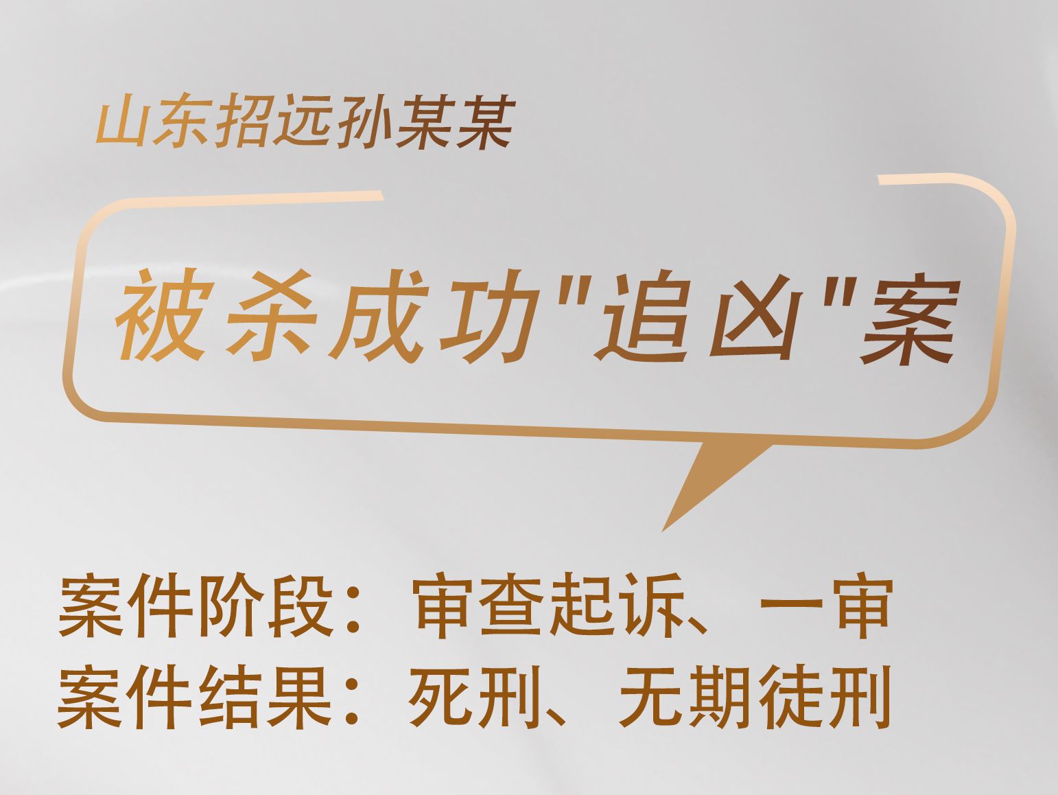 山东招远孙某某被杀成功“追凶”案