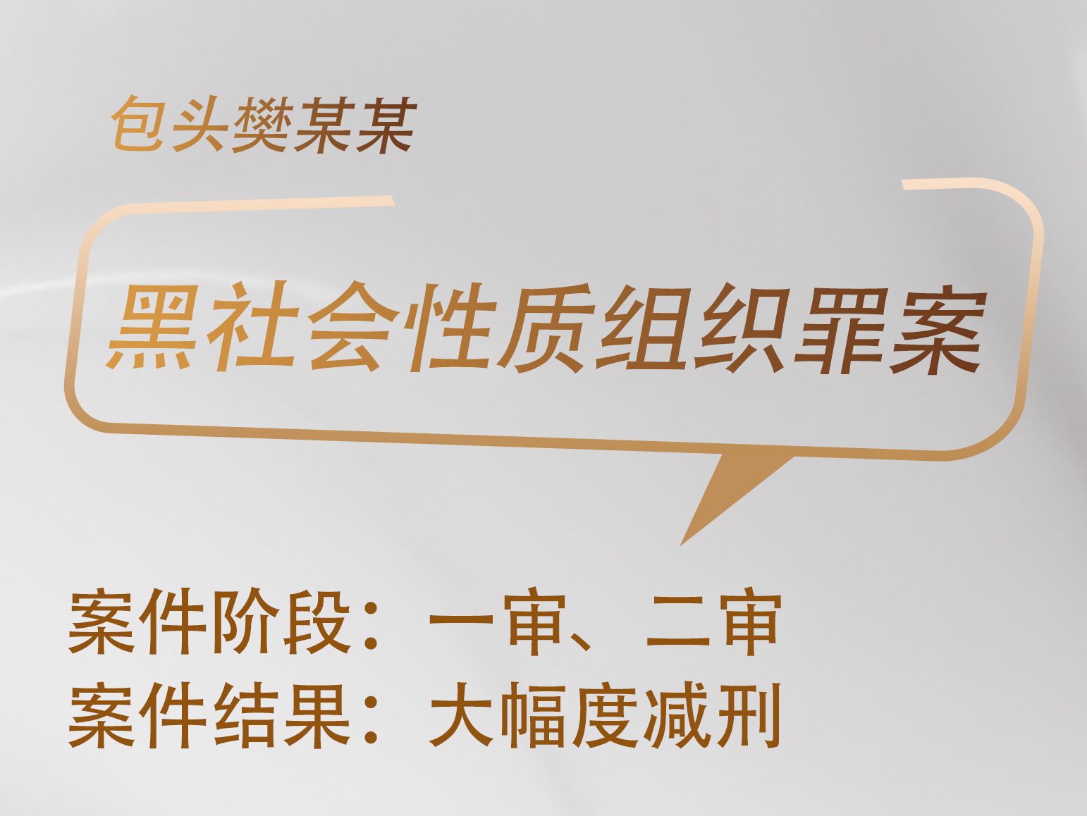 张晓凯律师承办：樊某某领导黑社会性质组织案